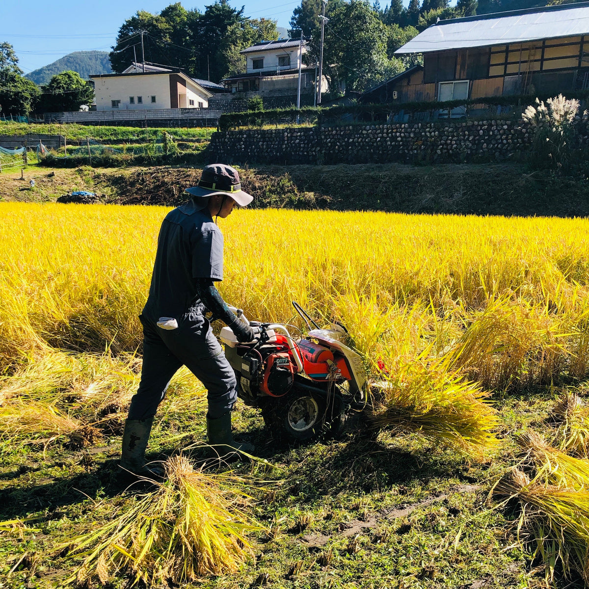 LOCAL FARMER・HAYAMA FARM 信州産あきたこまち 天日干し 2023新米