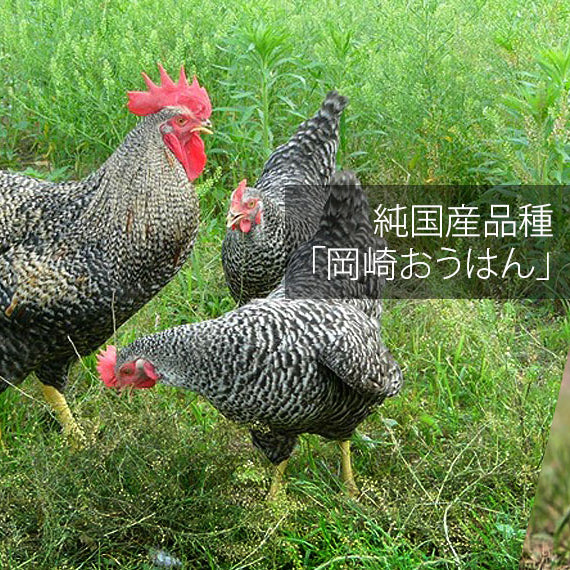 LOCAL FARMERS' CRAFT GELATO ほんとうに美味しい！平飼いたまごの